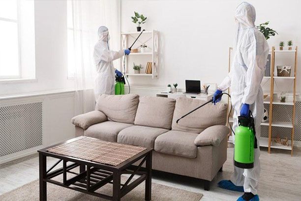 مكافحة الحشرات